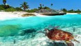 /album/fotografias/playa-del-carmen1-jpg/